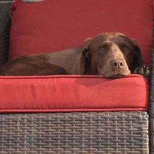 Meet your Posher, Katelyn